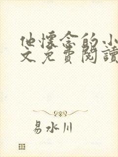 他怀念的小说全文免费阅读封面