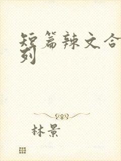 短篇辣文合集系列封面