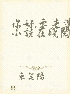 你好,要老婆吗小说在线阅读