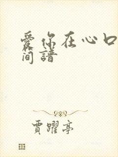 爱你在心口难开简谱封面
