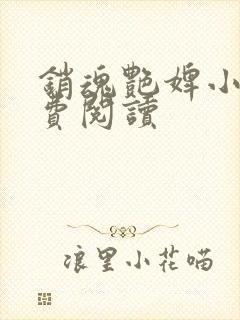 销魂艳婢小说免费阅读