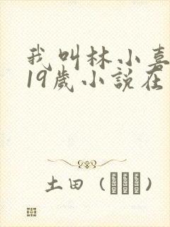 我叫林小喜今年19岁小说在线阅读全文
