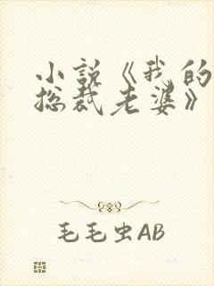 小说《我的冷艳总裁老婆》