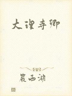 大理寺卿