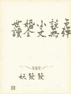 世婚小说免费阅读全文无弹窗封面