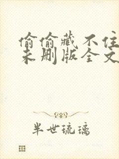 偷偷藏不住小说未删版全文免费阅读封面
