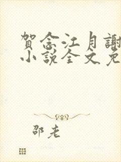 贺念江月谢泊年小说全文免费阅读笔趣阁