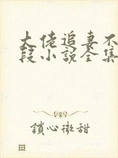 大佬追妻不择手段小说全集阅读