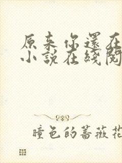 原来你还在这里小说在线阅读
