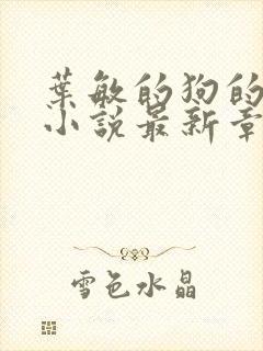 叶敏的狗的乐趣小说最新章节更新
