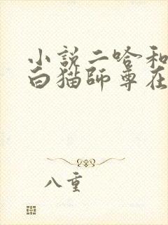小说二哈和他的白猫师尊在线阅读全文