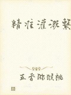 精准灌溉系统