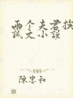 两个夫君挨打训诫文小说封面