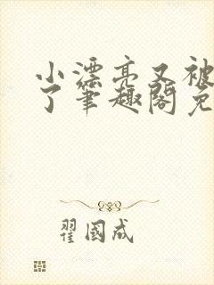 小漂亮又被欺负了笔趣阁免费阅读