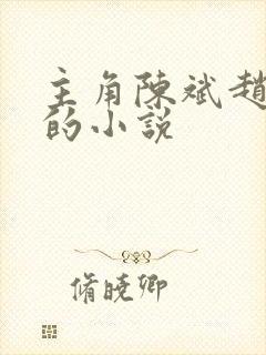 主角陈斌赵心媚的小说封面