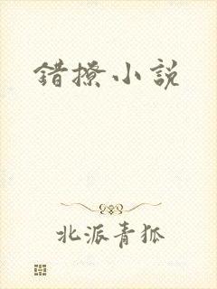 错撩小说