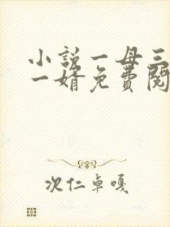 小说一母三女共一婿免费阅读