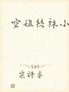 空姐丝袜小说