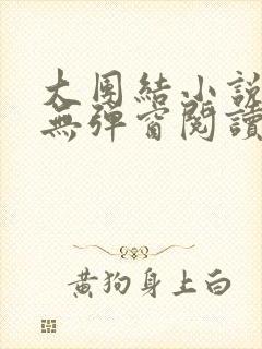 大团结小说免费无弹窗阅读