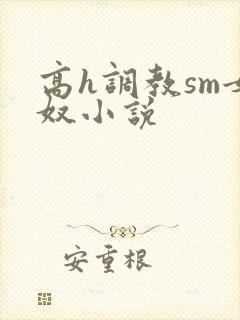 高h调教sm女奴小说