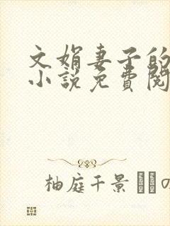 文娟妻子的日记小说免费阅读封面