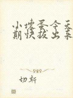 小坏蛋今天危险期快拔出来