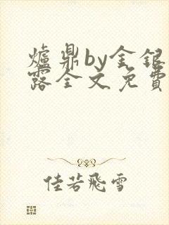 炉鼎by金银花露全文免费阅读笔趣阁封面