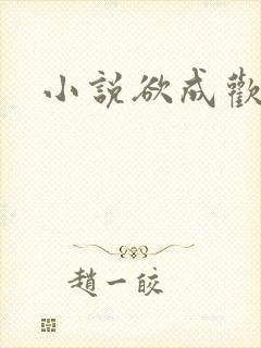 小说欲成欢