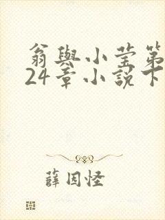 翁与小莹第十部24章小说下载封面