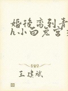 婚后脔到青梅哭h小白兔宫交h