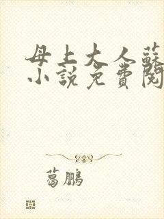 母上大人苏文婧小说免费阅读全文封面