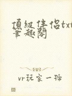 顶级伴侣txt笔趣阁