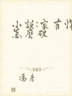 小说:家有悍妻怎么破