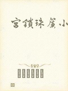 宫锁珠帘小说