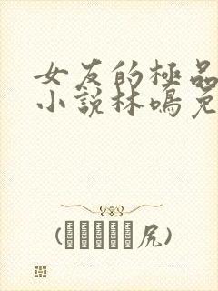 女友的极品闺蜜小说林鸣免费阅读