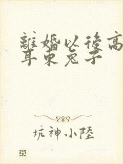离婚以后高干 耳东兔子