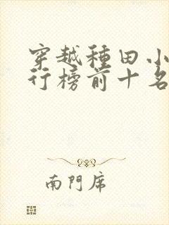 穿越种田小说排行榜前十名完结篇封面