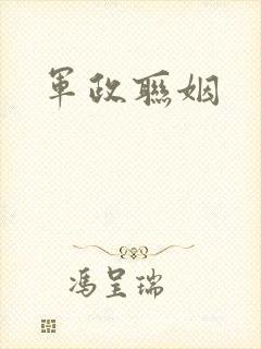 军政联姻封面