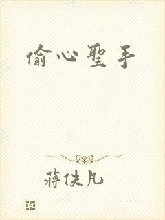 偷心圣手