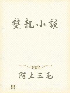 双龙小说封面
