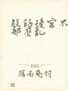 朕的后宫不可能那么乱
