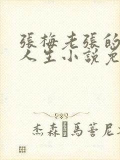 张梅老张的风流人生小说免费阅读