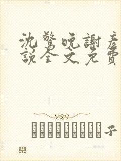 沈惊晚谢彦辞小说全文免费阅读