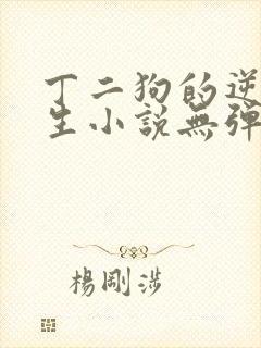 丁二狗的逆袭人生小说无弹窗