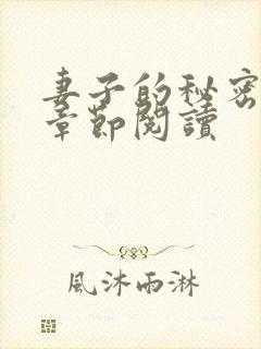 妻子的秘密最新章节阅读封面
