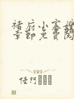 褚府小寡嫂最新章节免费阅读
