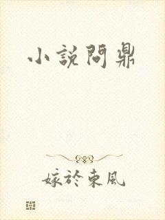 小说问鼎