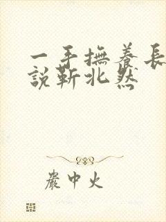 一手抚养长大小说靳北然封面