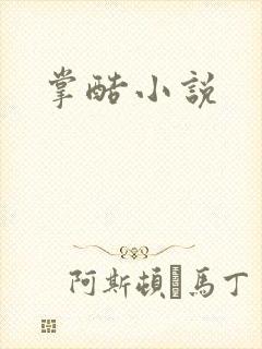 掌酷小说