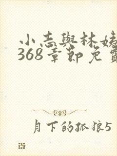 小志与林姨小说368章节免费阅读封面